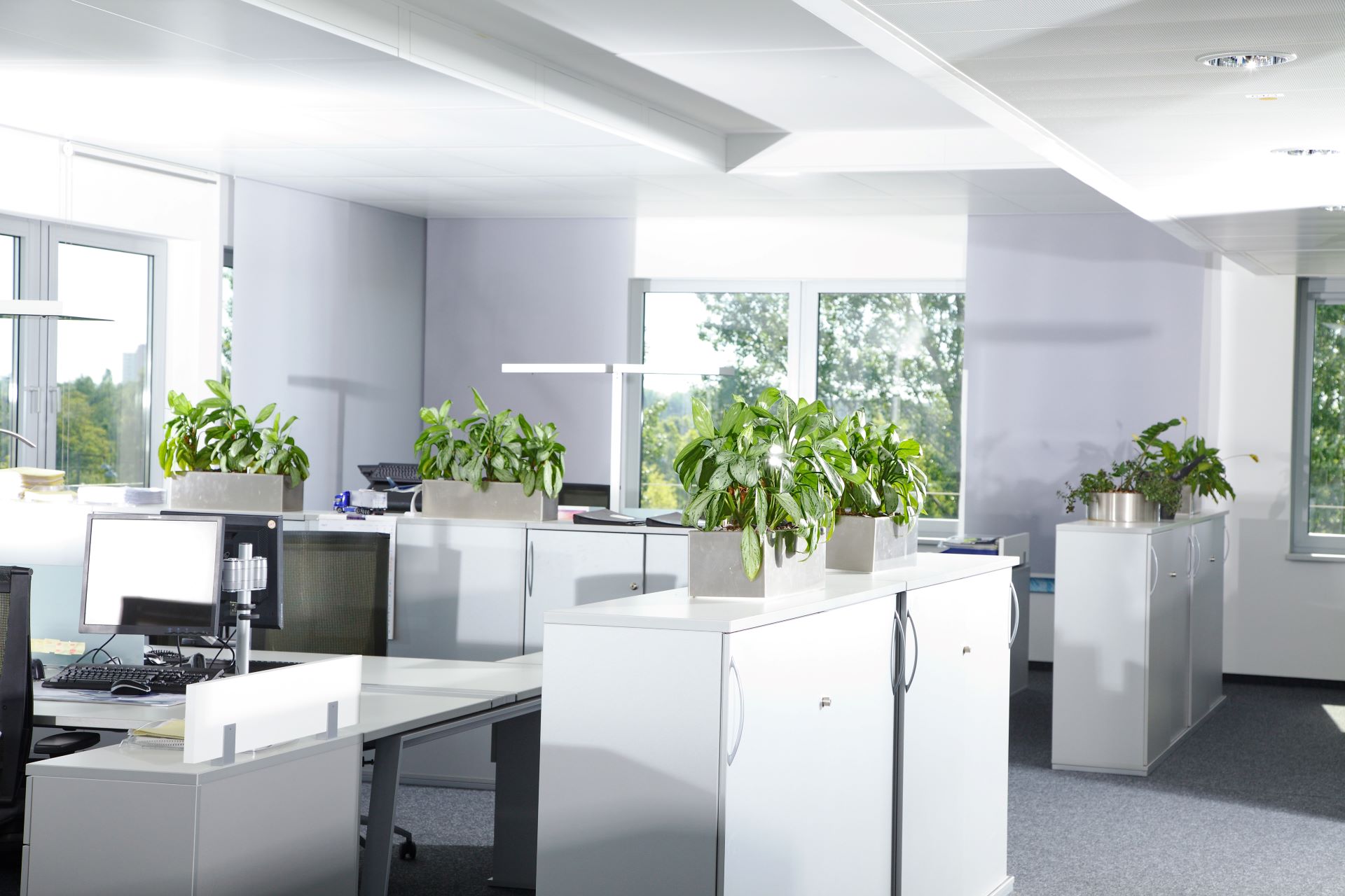 Resume Writing Services Berkeley Vale NSW